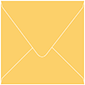 Bumble Bee Square Envelope 6 x 6 - 50/Pk