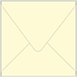 Sugared Lemon Square Envelope 6 x 6 - 25/Pk