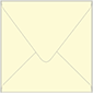 Sugared Lemon Square Envelope 6 x 6 - 50/Pk