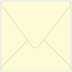 Sugared Lemon Square Envelope 6 x 6 - 50/Pk
