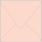 Ginger Square Envelope 6 x 6 - 25/Pk