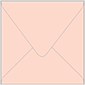 Ginger Square Envelope 6 x 6 - 50/Pk