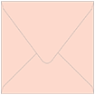 Ginger Square Envelope 6 x 6 - 50/Pk
