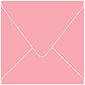 Coral Square Envelope 6 x 6 - 25/Pk