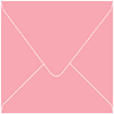 Coral Square Envelope 6 x 6 - 50/Pk