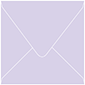 Purple Lace Square Envelope 6 x 6 - 50/Pk