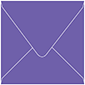 Amethyst Square Envelope 6 x 6 - 50/Pk