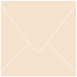 Latte Square Envelope 6 x 6 - 25/Pk