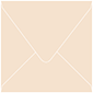 Latte Square Envelope 6 x 6 - 50/Pk