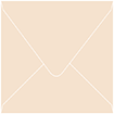 Latte Square Envelope 6 x 6 - 50/Pk