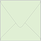 Green Tea Square Envelope 6 x 6 - 25/Pk
