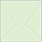 Green Tea Square Envelope 6 x 6 - 50/Pk