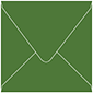 Verde Square Envelope 6 x 6 - 25/Pk