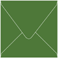 Verde Square Envelope 6 x 6 - 50/Pk