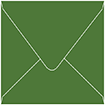 Verde Square Envelope 6 x 6 - 50/Pk