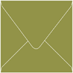 Olive Square Envelope 6 x 6 - 50/Pk