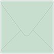 Tiffany Blue Square Envelope 6 x 6 - 50/Pk