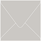 Wealth Square Envelope 6 x 6 - 25/Pk