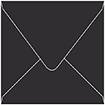 Black Square Envelope 6 x 6 - 50/Pk