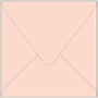 Ginger Square Envelope 6 1/2 x 6 1/2 - 25/Pk