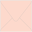 Ginger Square Envelope 6 1/2 x 6 1/2 - 50/Pk