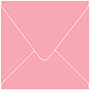 Coral Square Envelope 6 1/2 x 6 1/2 - 25/Pk