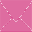 Raspberry Square Envelope 6 1/2 x 6 1/2 - 50/Pk