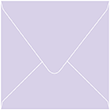 Purple Lace Square Envelope 6 1/2 x 6 1/2 - 50/Pk