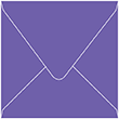 Amethyst Square Envelope 6 1/2 x 6 1/2 - 50/Pk