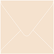 Latte Square Envelope 6 1/2 x 6 1/2 - 50/Pk