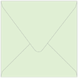 Green Tea Square Envelope 6 1/2 x 6 1/2 - 50/Pk