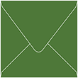 Verde Square Envelope 6 1/2 x 6 1/2 - 50/Pk