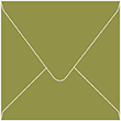 Olive Square Envelope 6 1/2 x 6 1/2 - 50/Pk