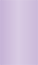 Violet Flat Card 2 1/4 x 4 - 25/Pk