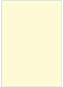 Sugared Lemon Flat Card 2 1/2 x 3 1/2