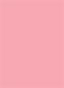 Matte Coral Flat Card 2 1/2 x 3 1/2 - 25/Pk