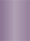 Purple Flat Card 2 1/2 x 3 1/2 - 25/Pk