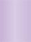 Violet Flat Card 2 1/2 x 3 1/2 - 25/Pk