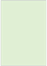Green Tea Flat Card 3 1/2 x 5