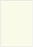 Spring Flat Card 3 1/2 x 5