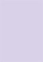 Purple Lace Flat Card 3 1/4 x 4 3/4