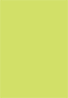 Citrus Green Flat Card 3 1/4 x 4 3/4 - 25/Pk