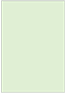Green Tea Flat Card 3 3/8 x 4 7/8 - 25/Pk