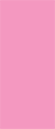 Peony Flat Card 4 x 9 1/4 - 25/Pk