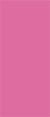 Raspberry Flat Card 4 x 9 1/4 - 25/Pk