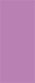 Plum Punch Flat Card 4 x 9 1/4 - 25/Pk