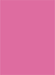 Raspberry Flat Card 4 1/2 x 6 1/4 - 25/Pk