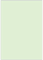 Green Tea Flat Card 4 1/2 x 6 1/4 - 25/Pk