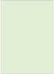 Green Tea Flat Card 4 1/2 x 6 1/4 - 25/Pk