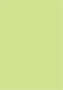 Pistachio Flat Card 4 1/2 x 6 1/2 - 25/Pk